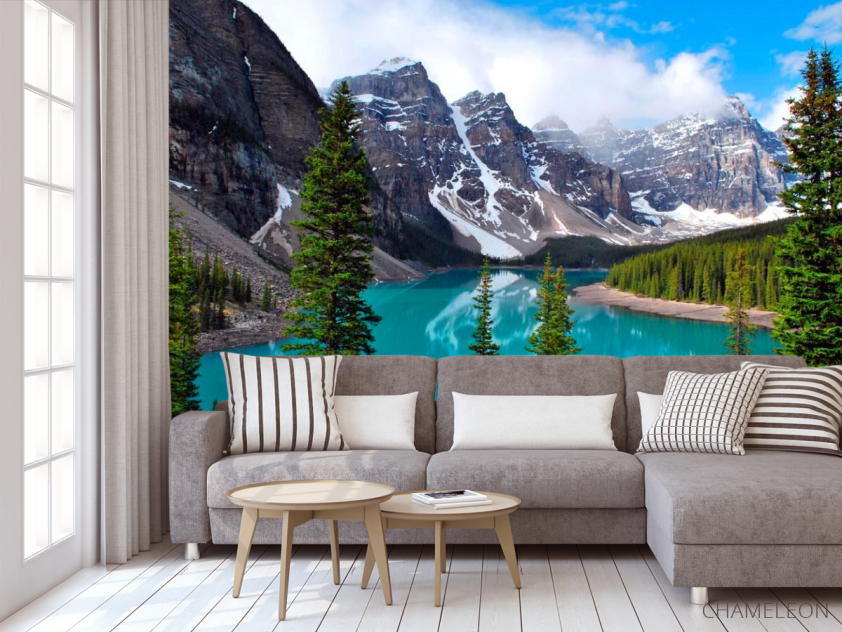 Фотообои Скалы, вода, ёль - 3