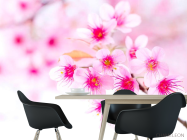 Фотошпалери Квітуча навесні дерево - 1