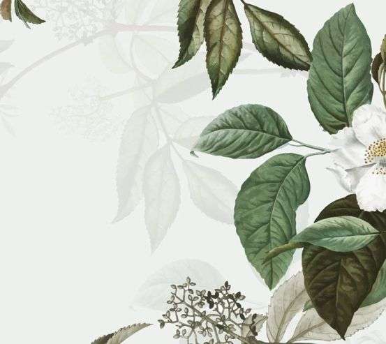 Фотообои Цветение яблони ветка 22316