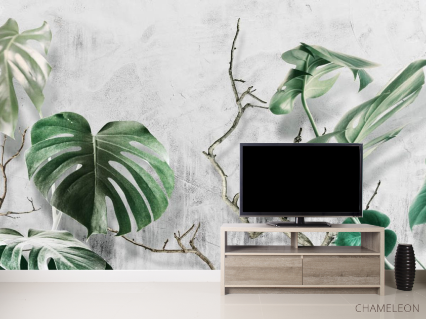 Фотообои Монстера и бетон - 2