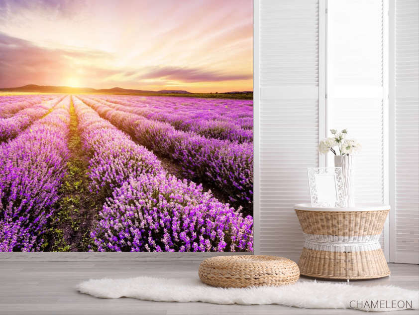 Фотошпалери Захід у лавандовом полі - 2