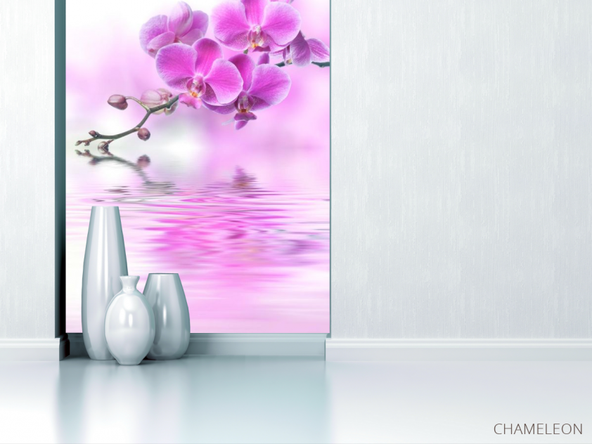 Фотообои розовая орхидея над водой - 1