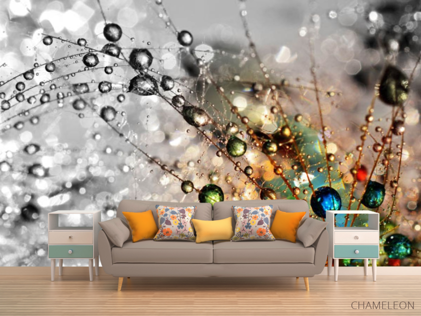 Фотообои Одуванчик с росой - 1