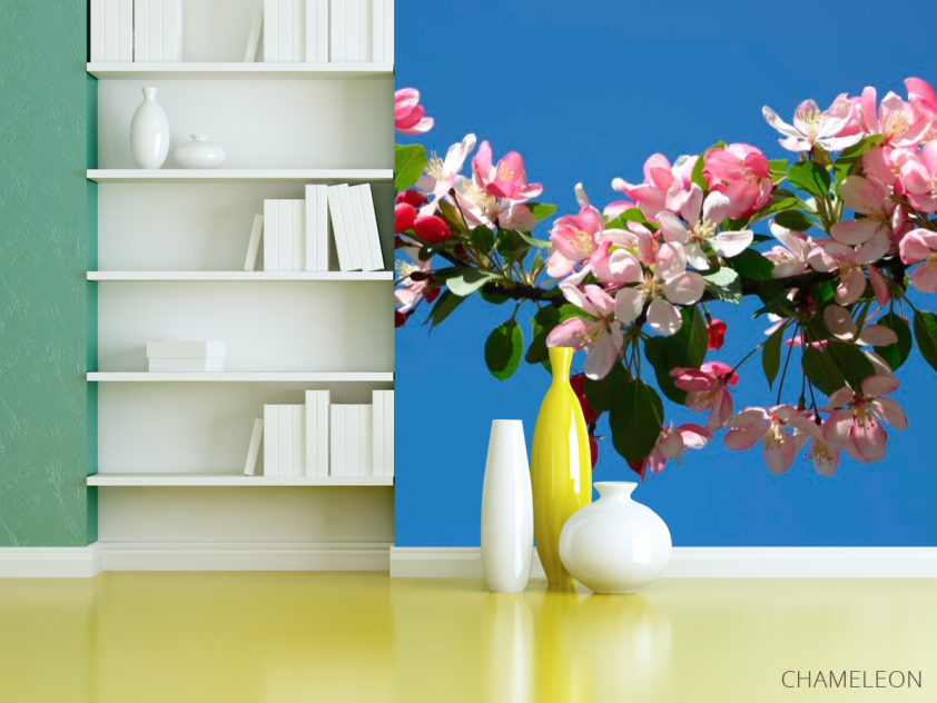 Фотошпалери Фотошпалери Черешня квітуча - 3