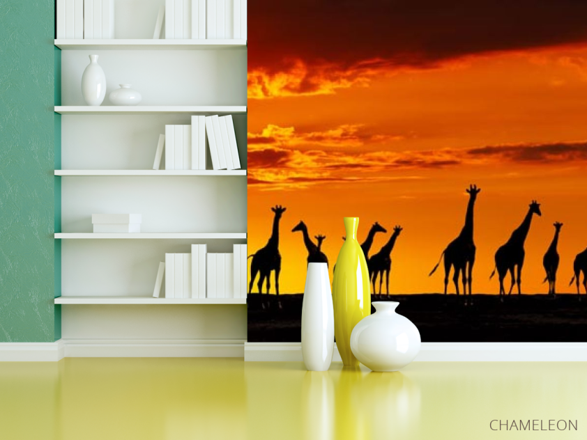 Фотошпалери багато жирафів і захід - 3