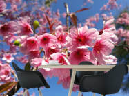 Фотошпалери сакура - 1