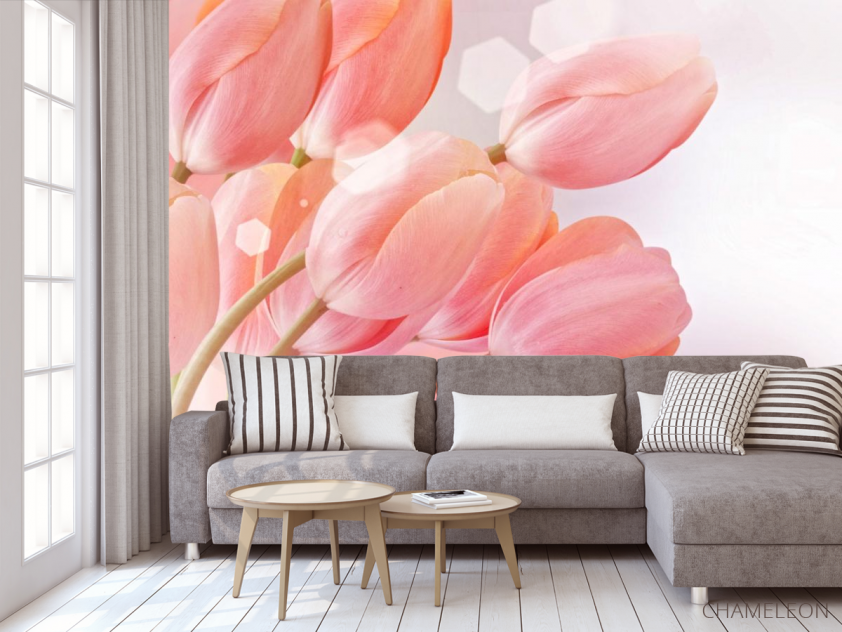 Фотообои розовые тюльпаны - 3