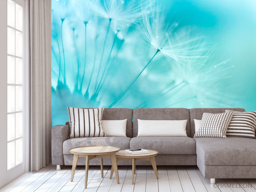 Фотообои Одуванчик в небе - 3