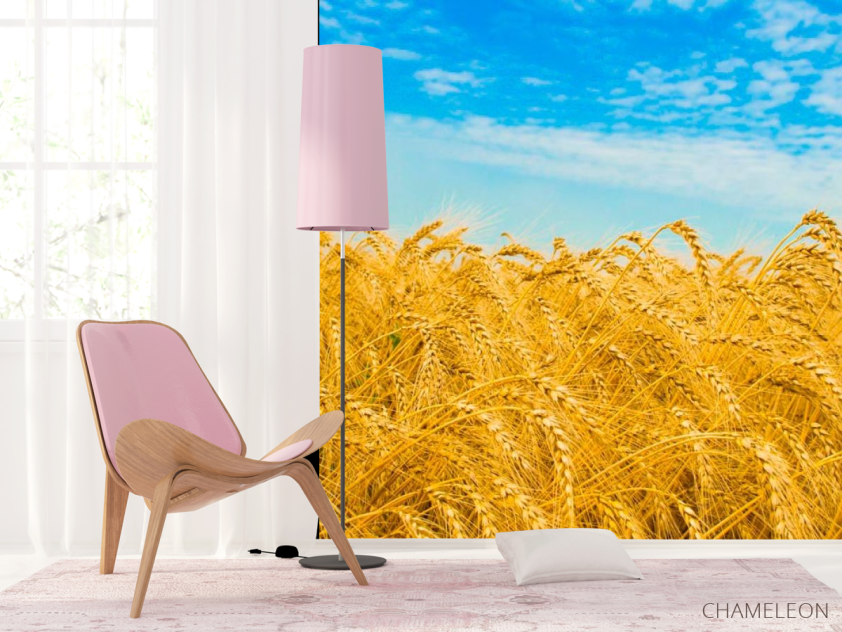 Фотошпалери Пшениця - 4