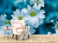 Фотообои Звездчатка - 4