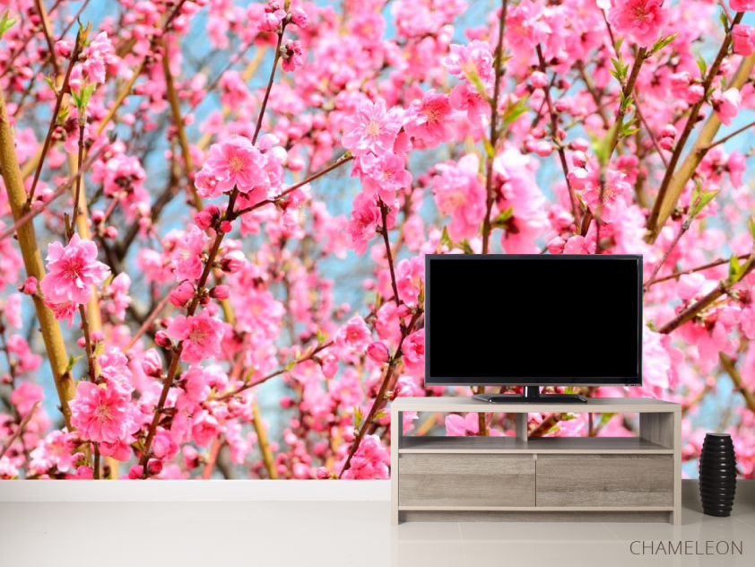 Фотообои Кипарис розовый - 2