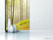 Фотообои Кусочек леса - 1