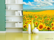 Фотошпалери Поле, засіяне соняшниками - 3