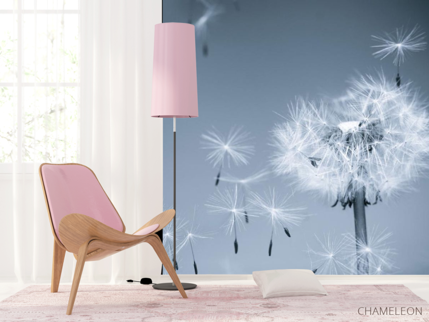 Фотошпалери Сірі кульбаби - 4