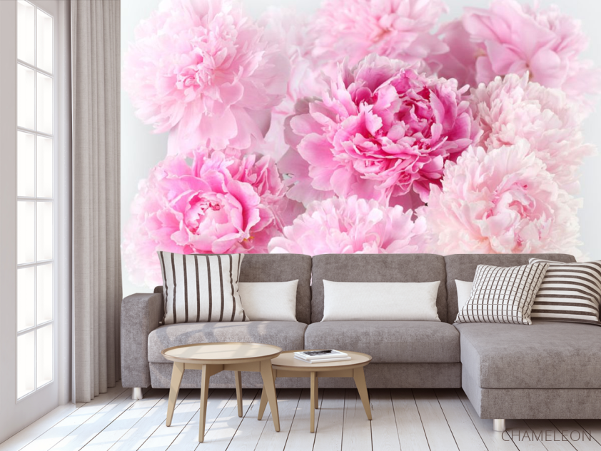 Фотообои Розовые пионы - 3