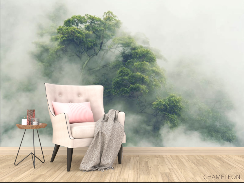 Фотообои Тропики в тумане - 4