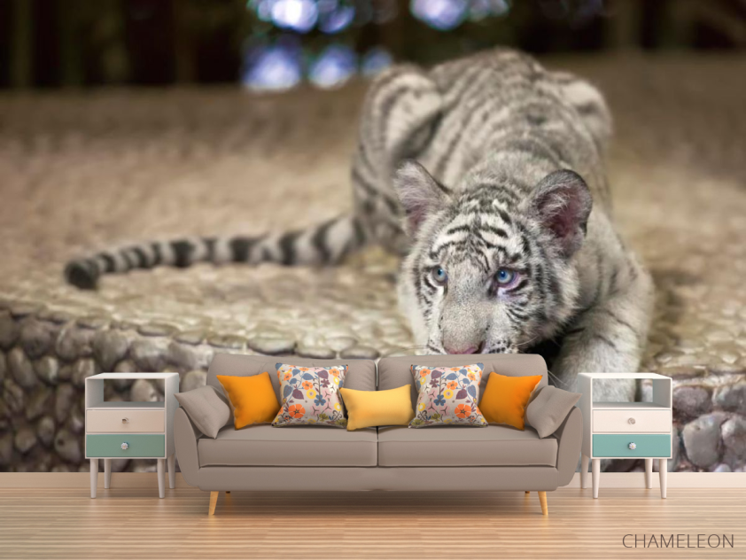 Фотообои Притаившийся тигр - 1