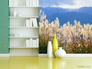 Фотошпалери Біля болота - 3