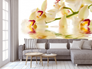 Фотообои Кремовые орхидеи в воде - 3