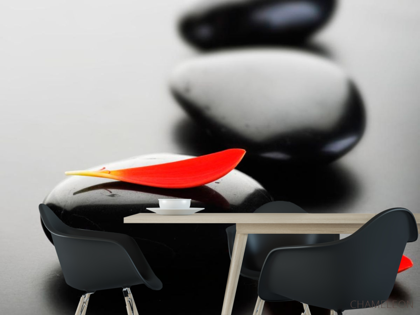 Фотошпалери Три пелюстки і камені - 1