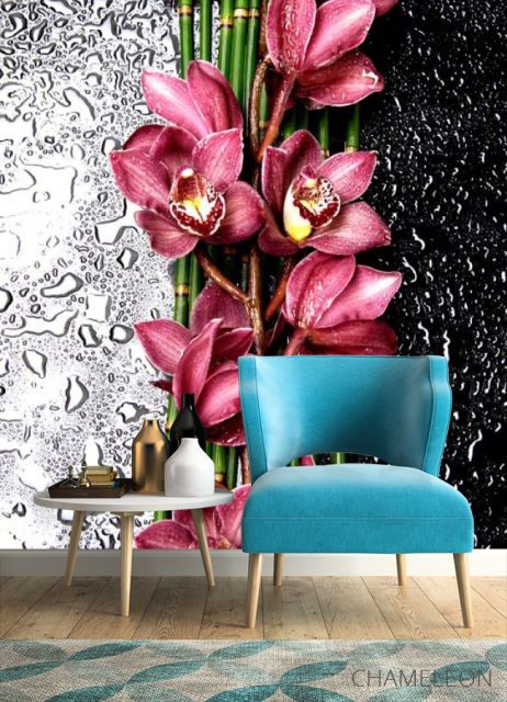 Фотообои Бордовые орхидеи - 4