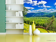 Фотошпалери зелено-блакитна природа - 3