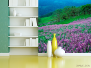 Фотошпалери Гармонія на луці - 3