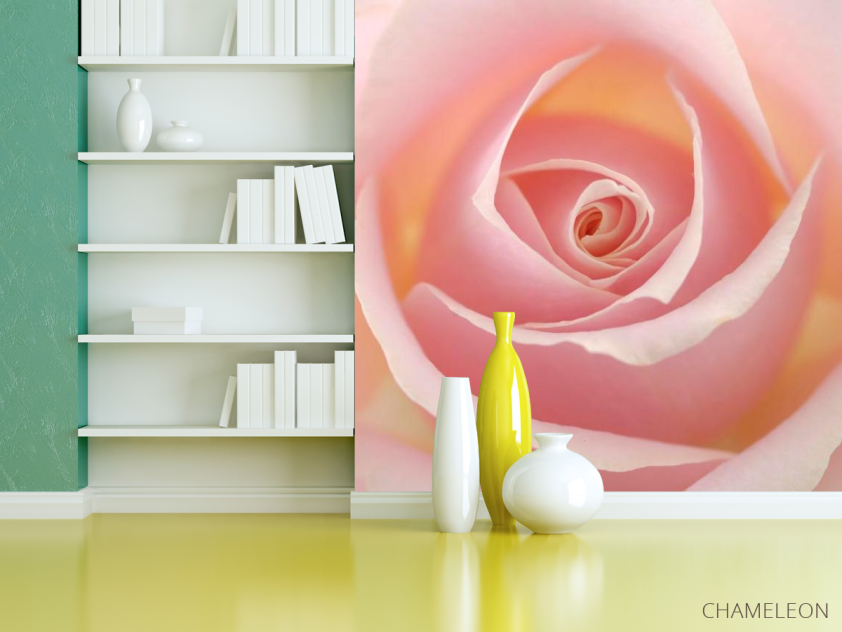 Фотошпалери Розочка кремова - 3