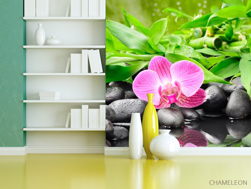 Фотошпалери Орхідея на каменях - 3