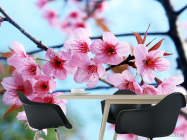 Фотошпалери Квітуча гілка - 1