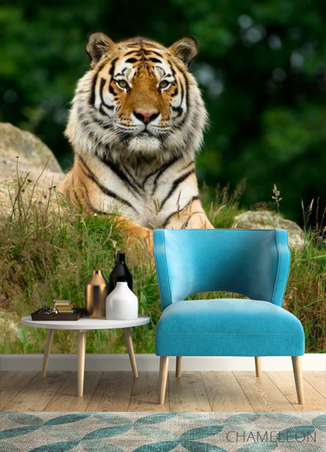 Фотообои Величественный тигр - 4