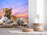 Фотошпалери тигр - 2