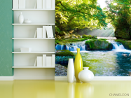 Фотошпалери Дивний куточок лісу - 3