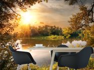 Фотошпалери лебідь на озері - 1