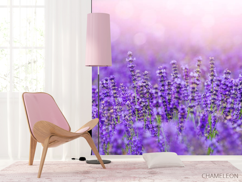 Фотошпалери Лавандове поле - 4