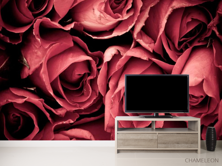 Фотообои Красные розы - 2
