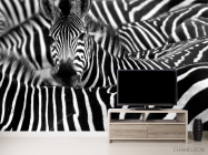 Фотообои Любопытная зебра - 2