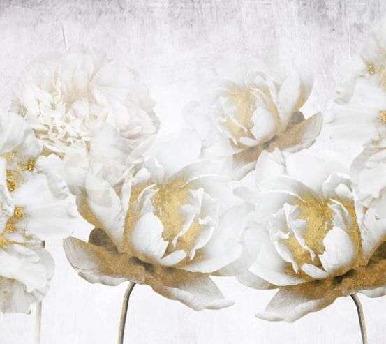 Фотошпалери білі квіти з золотом Фотошпалери білі квіти з золотом 29580