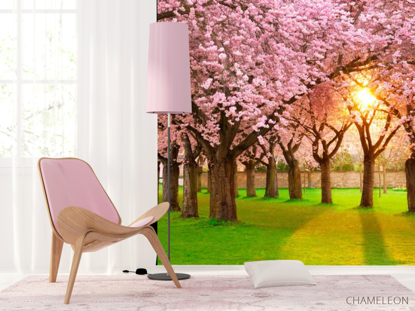 Фотошпалери Квітучі вишні - 4