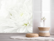 Фотошпалери Білі хризантеми - 2