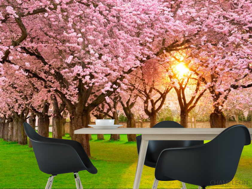 Фотошпалери Квітучі вишні - 1