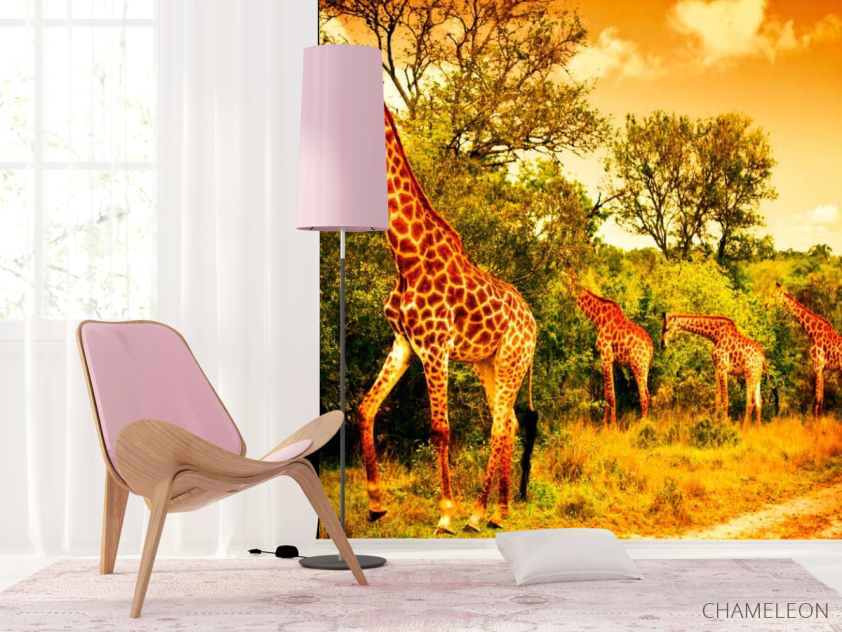 Фотошпалери Жирафи на пасовищі - 4