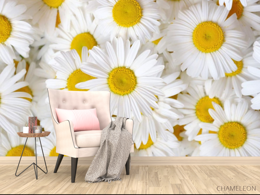Фотообои ромашки - 4