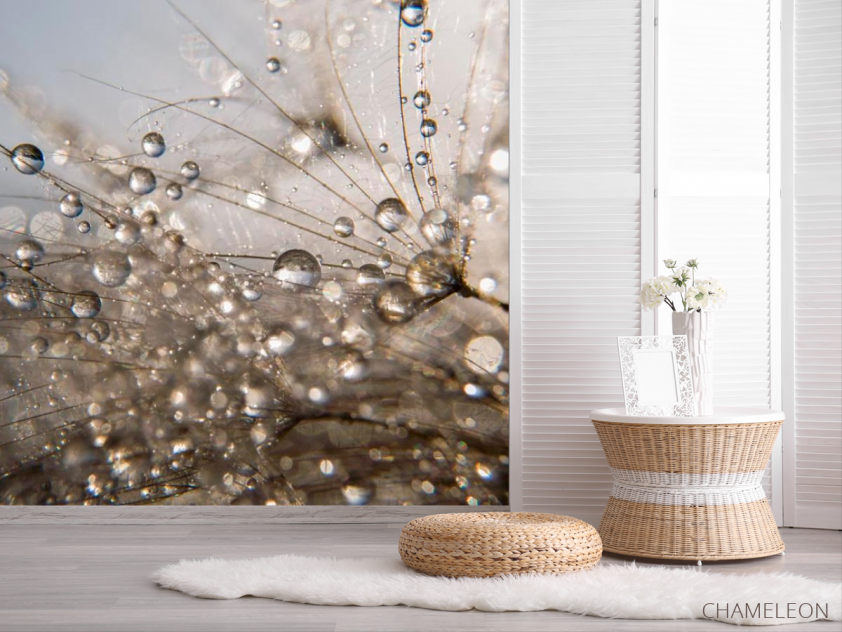 Фотошпалери Роса - 2