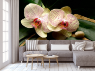 Фотообои Полосчатые орхидеи - 3