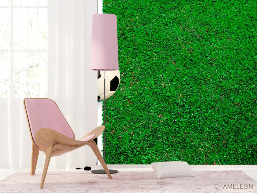 Фотошпалери М'яч на лінії - 4