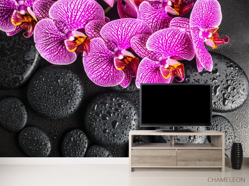 Фотообои сиреневые орхидеи на черных камнях с каплями - 2