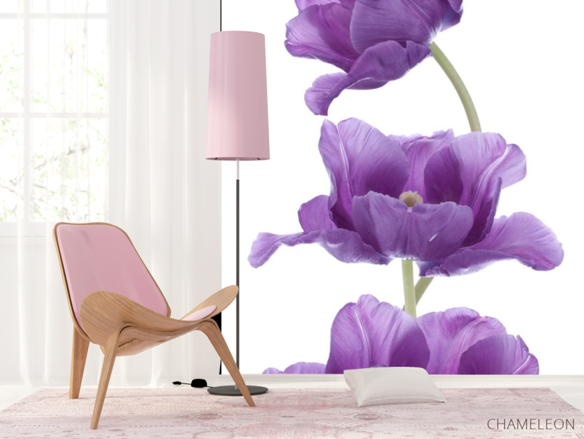 Фотошпалери фіолетові тюльпани - 4