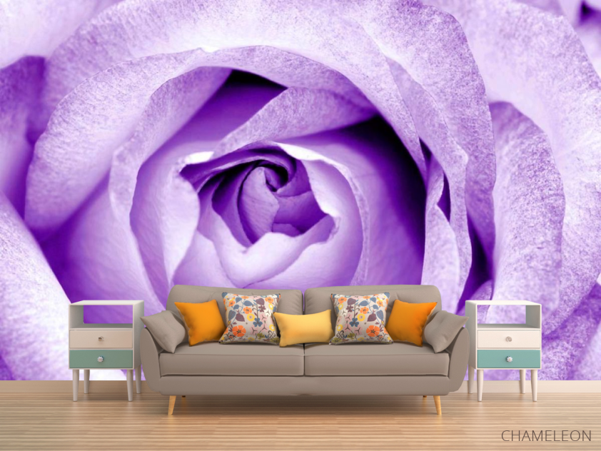 Фотообои Снежно-сиреневая роза - 1