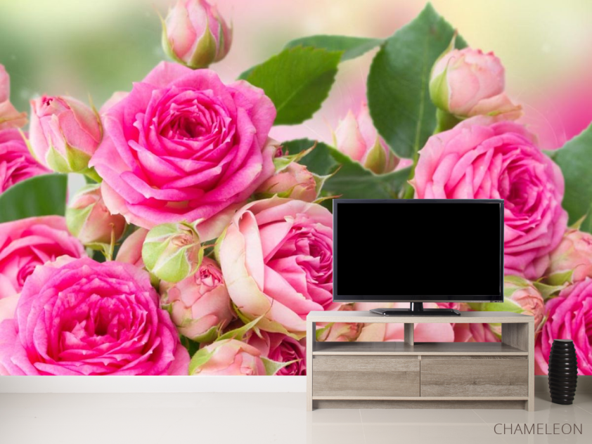 Фотообои чайная роза - 2